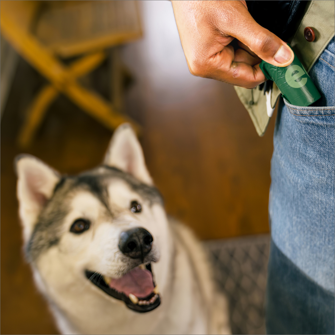 PoopPro Kutyapiszok Zacskó, műanyagtárolóval, - 18 tekercs 270 zacskó