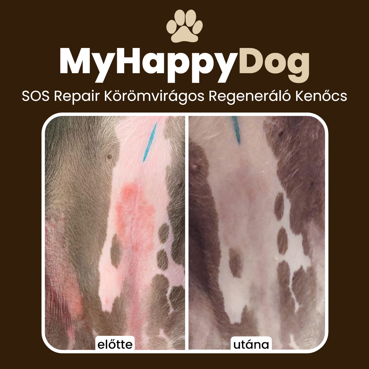 MyHappyDog SOS Repair Körömvirágos Regeneráló Kenőcs