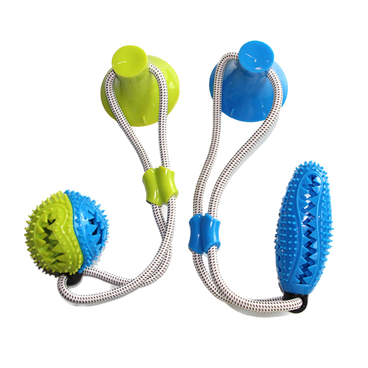 fogtisztító kutyáknak