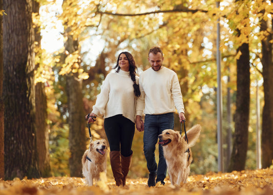 Őszi séta, őszi veszélyek – Mire figyelj, ha lehullanak a levelek?