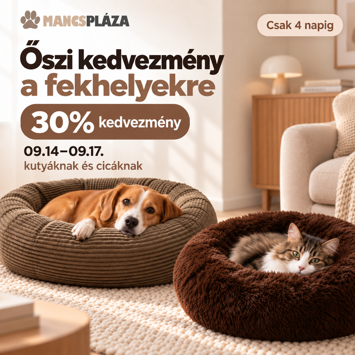 Őszi kedvezmény fekhelyekre