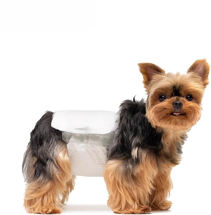 DryBuddy Felcsatolható Nedvszívó Kutya Pelenka 10 darab