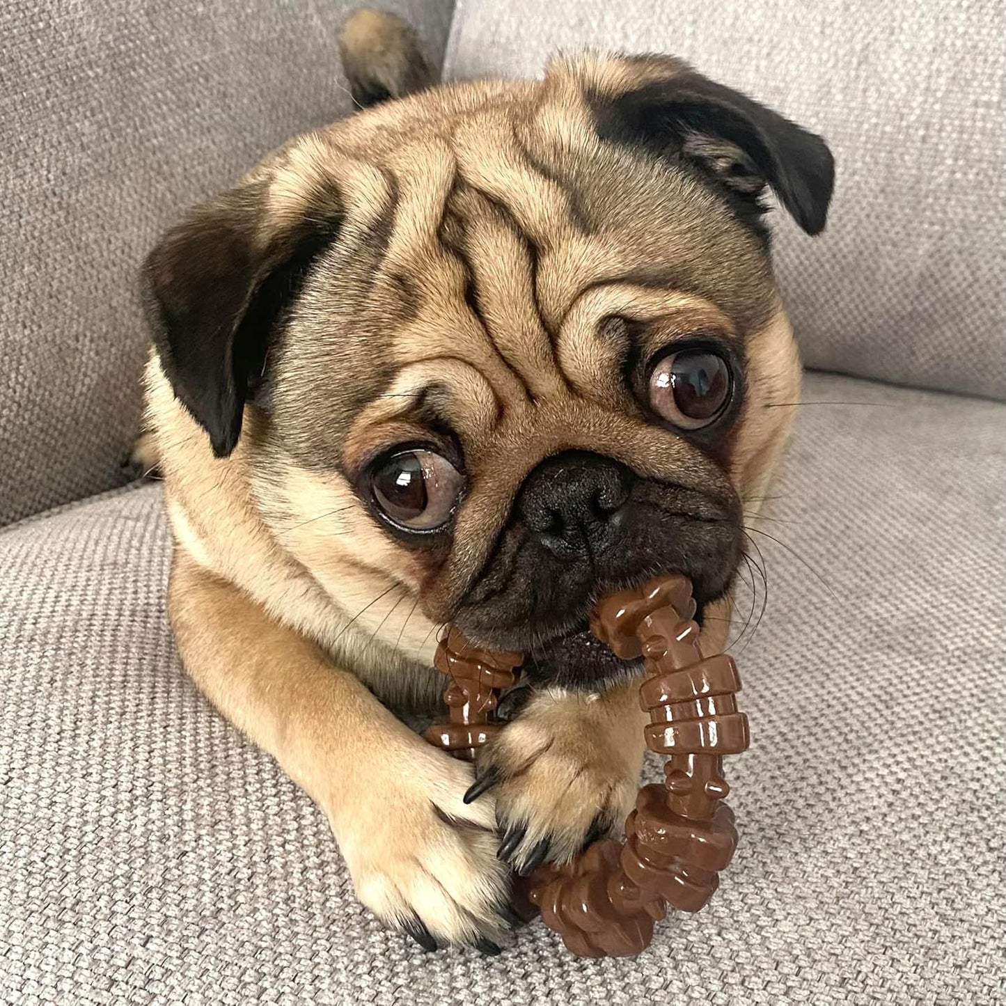 Extra Tartós, Texturált Rágókarika Kutyajáték