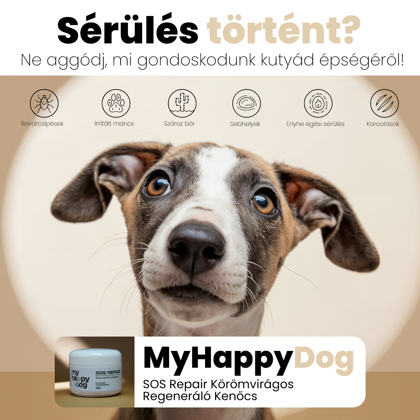 MyHappyDog SOS Repair Körömvirágos Regeneráló Kenőcs