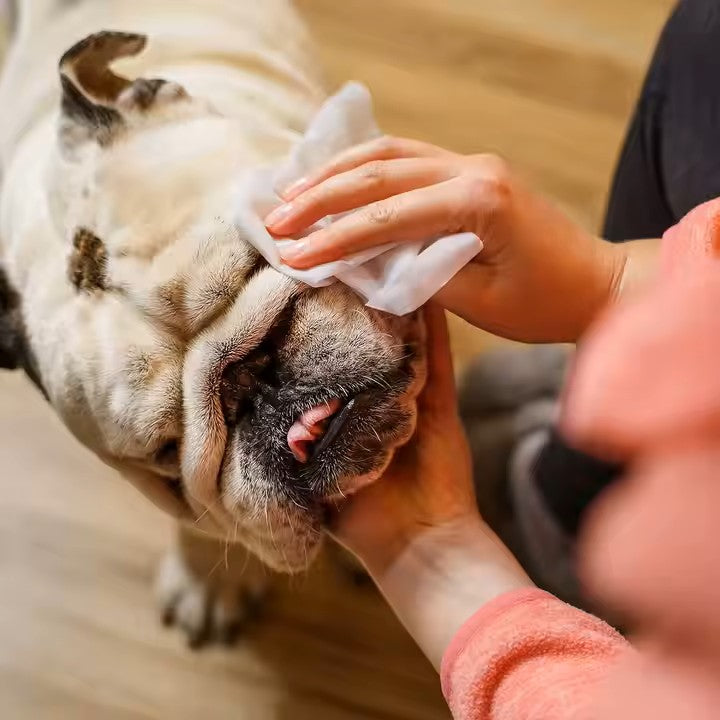 CleanPaws Környezetbarát és Hipoallergén Nedves Törlőkendő Kutyák és Macskák Számára Fül, Mancs és Teljes Test Tisztításához