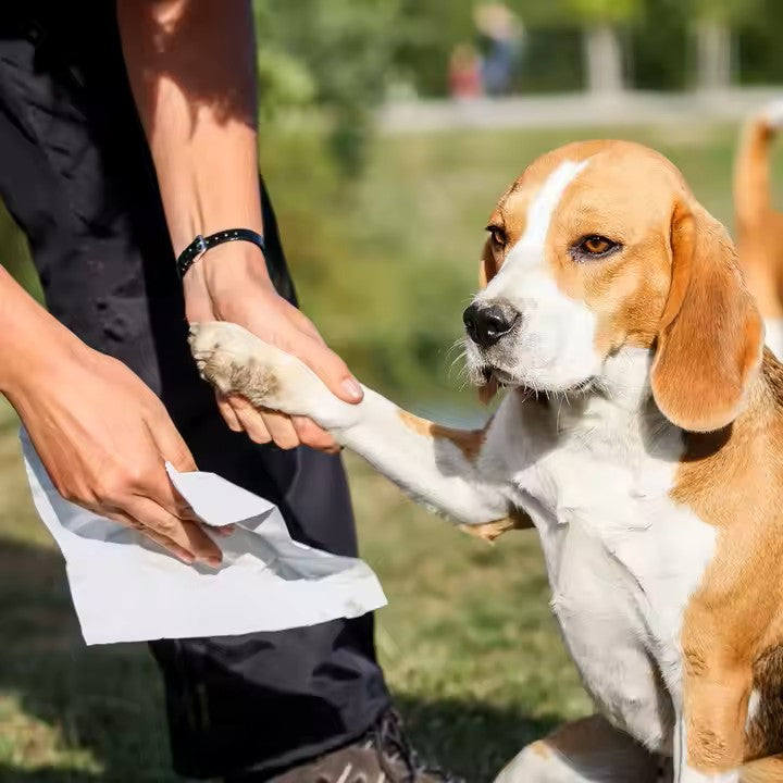 CleanPaws Környezetbarát és Hipoallergén Nedves Törlőkendő Kutyák és Macskák Számára Fül, Mancs és Teljes Test Tisztításához