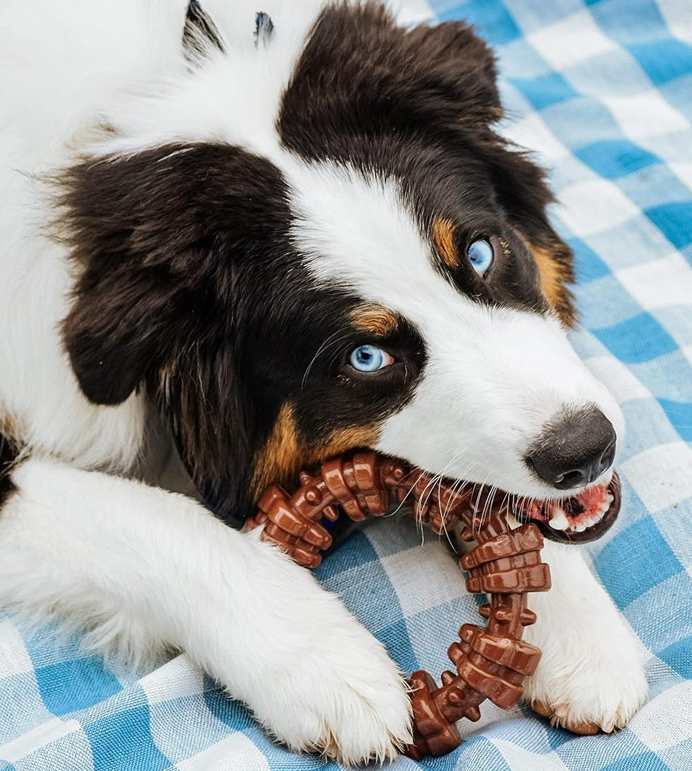 Extra Tartós, Texturált Rágókarika Kutyajáték