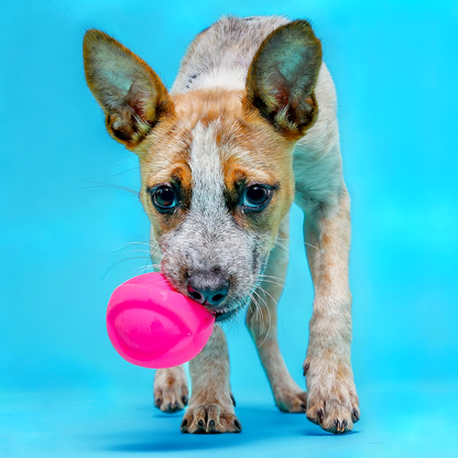 Rágásálló, Fogtisztító Kutyalabda – Biztonságos, Pattogó Kutya Játék Kis- és Nagytestű Kutyának