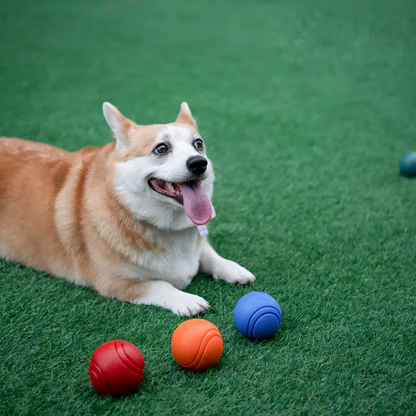 Rágásálló, Fogtisztító Kutyalabda – Biztonságos, Pattogó Kutya Játék Kis- és Nagytestű Kutyának