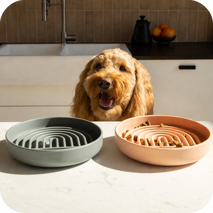 Slowlee Emésztéskímélő Evéslassító Tál Tapadókoronggal