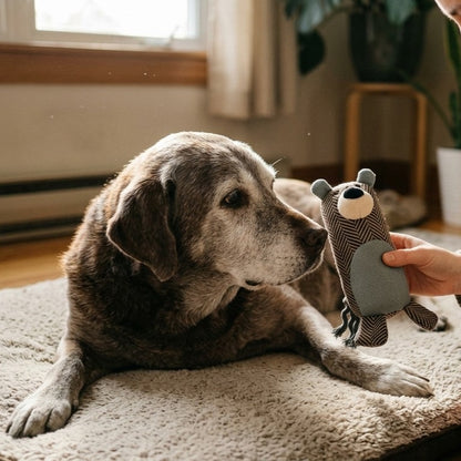 Teddy Csipogó Plüss Kutyajáték