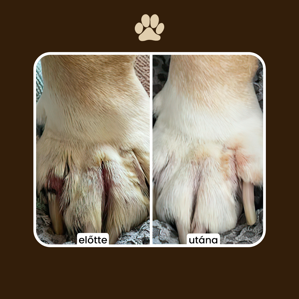 MyHappyDog SOS Repair Körömvirágos Regeneráló Kenőcs