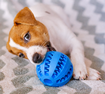 Bitello Többfunkciós Fogápoló Jutalomfalat Labda Kutyáknak és Macskáknak