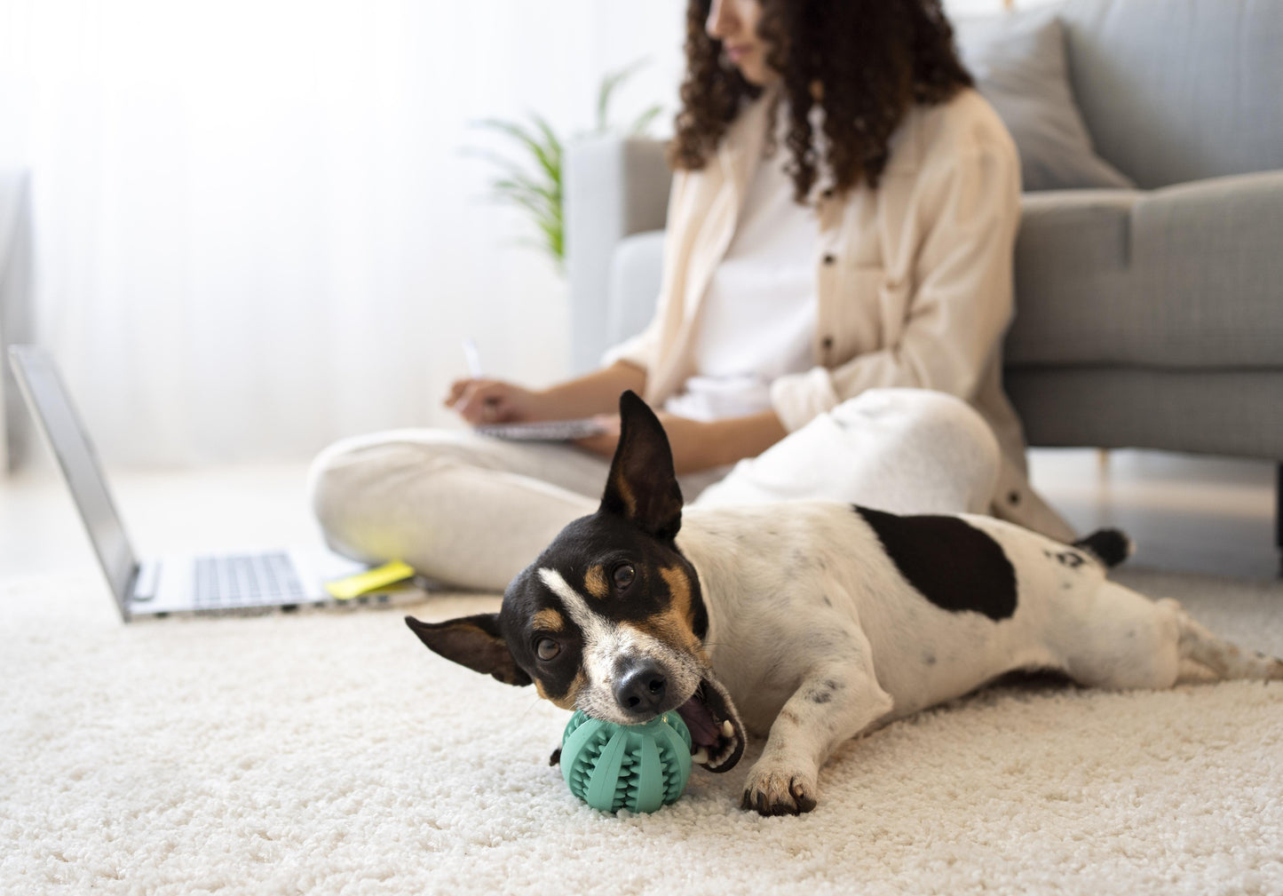 Bitello Többfunkciós Fogápoló Jutalomfalat Labda Kutyáknak és Macskáknak