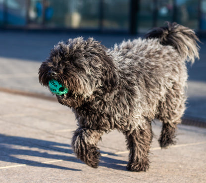 Bitello Többfunkciós Fogápoló Jutalomfalat Labda Kutyáknak és Macskáknak