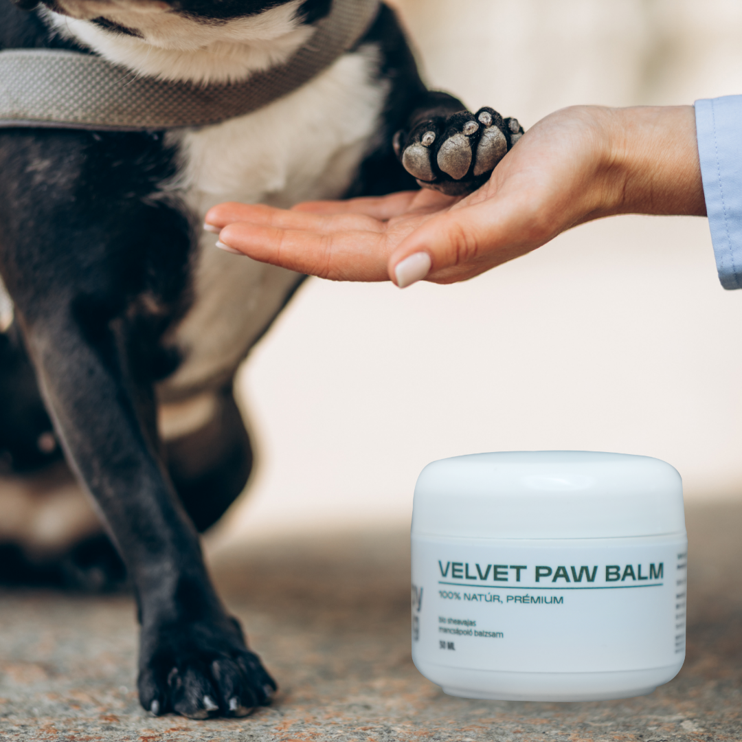 MyHappyDog Velvet Paw Mancsápoló Balzsam