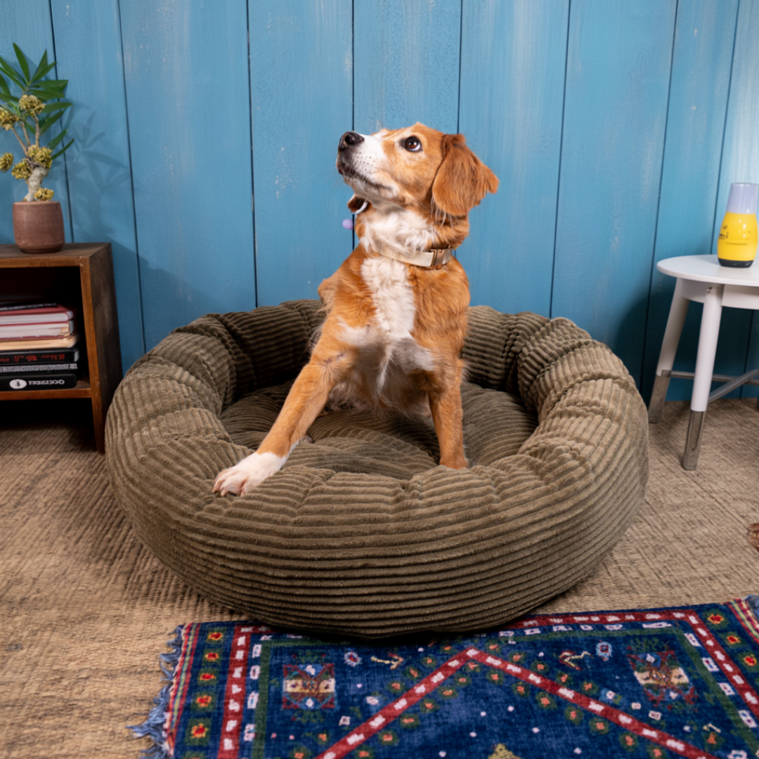 CozyNest Prémium Puha Fánk Alakú Kutya Fekhely