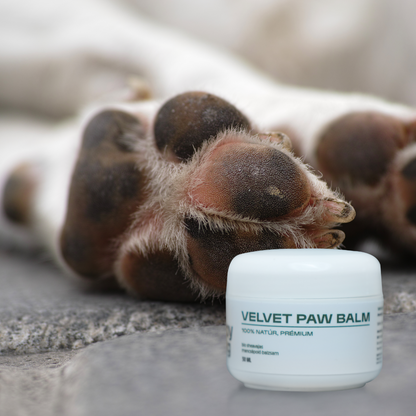 MyHappyDog Velvet Paw Mancsápoló Balzsam