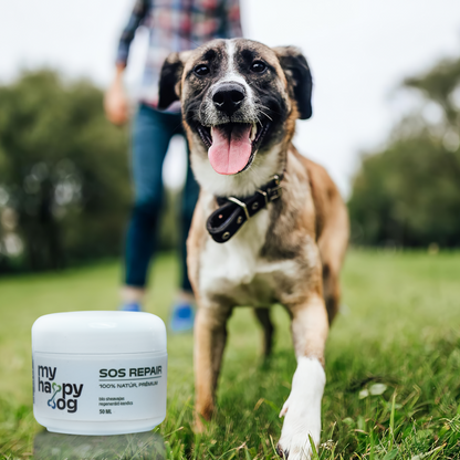 MyHappyDog SOS Repair Körömvirágos Regeneráló Kenőcs
