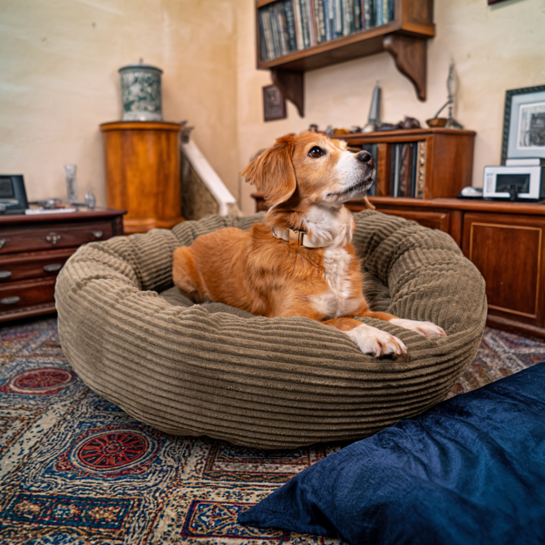 CozyNest Prémium Puha Fánk Alakú Kutya Fekhely
