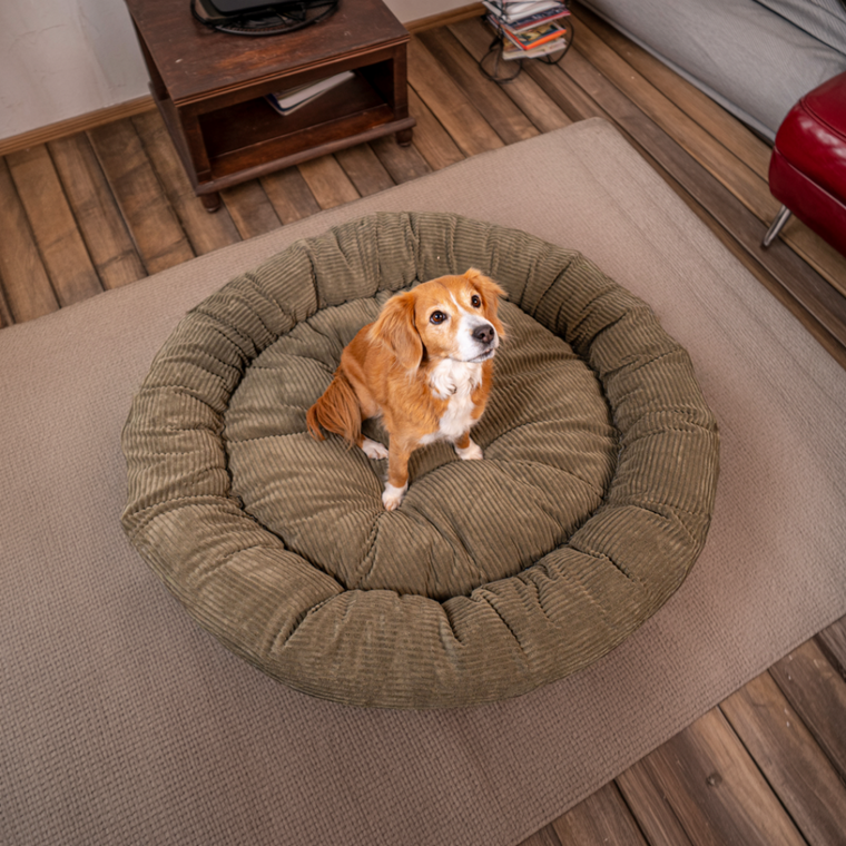 Felülnézeti kép a CozyNest fánk alakú fekhelyről kutyával