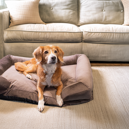 CozyNest Prémium Bőrbarát Víz- és Rágásálló Memóriahabos Kutya Fekhely