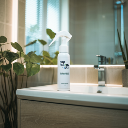 Top-to-Paw Essentials