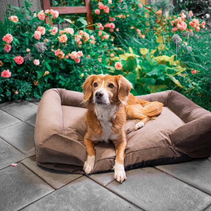 CozyNest Prémium Bőrbarát Víz- és Rágásálló Memóriahabos Kutya Fekhely