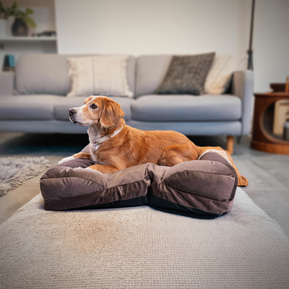 CozyNest Prémium Bőrbarát Víz- és Rágásálló Memóriahabos Kutya Fekhely