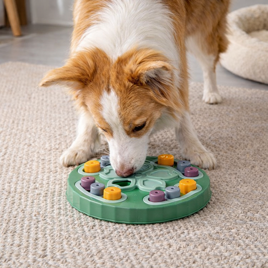 Munchee Interaktív Jutalomfalatos Fejlesztőjáték Kutyáknak és Macskáknak