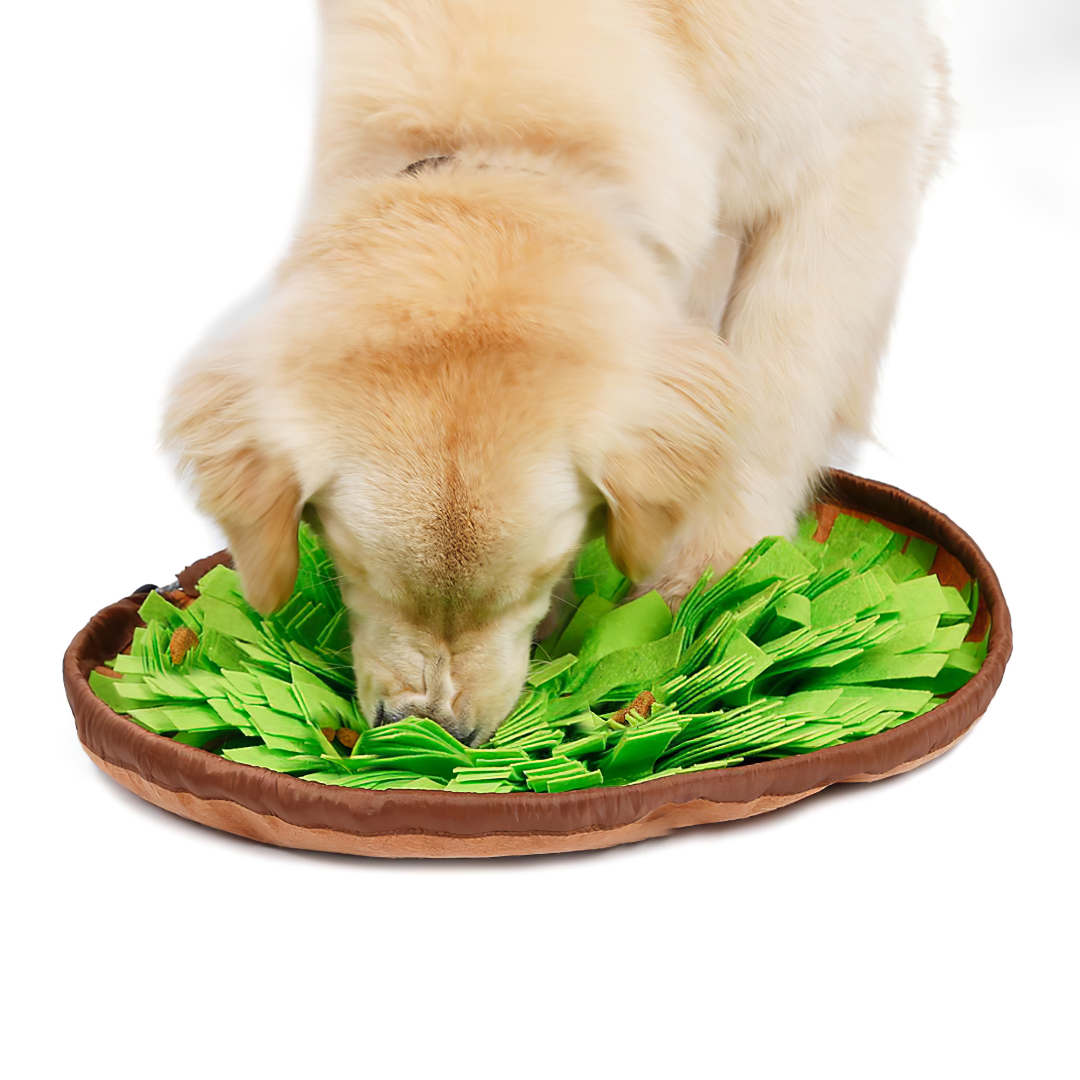 Snuffly Állítható Méretű Interaktív Szimatjáték Szőnyeg