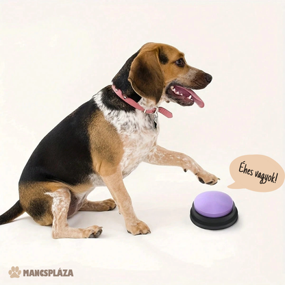 TalkingPaw Interaktív Kommunikációs Gombszett Kisállatoknak