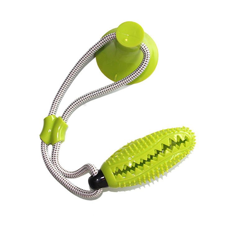 fogtisztító kutyáknak